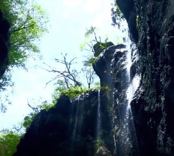 青山綠水，白龍江畔江畔息白鷺，兩岸綠橄欖入眼的都是純樸自然枝上花開(kāi)，春來(lái)水暖魚(yú)蝦戲水，鳥(niǎo)語(yǔ)花香心中充滿(mǎn)著舒暢之感祥宇生態(tài)產(chǎn)業(yè)園，位于隴南市武..